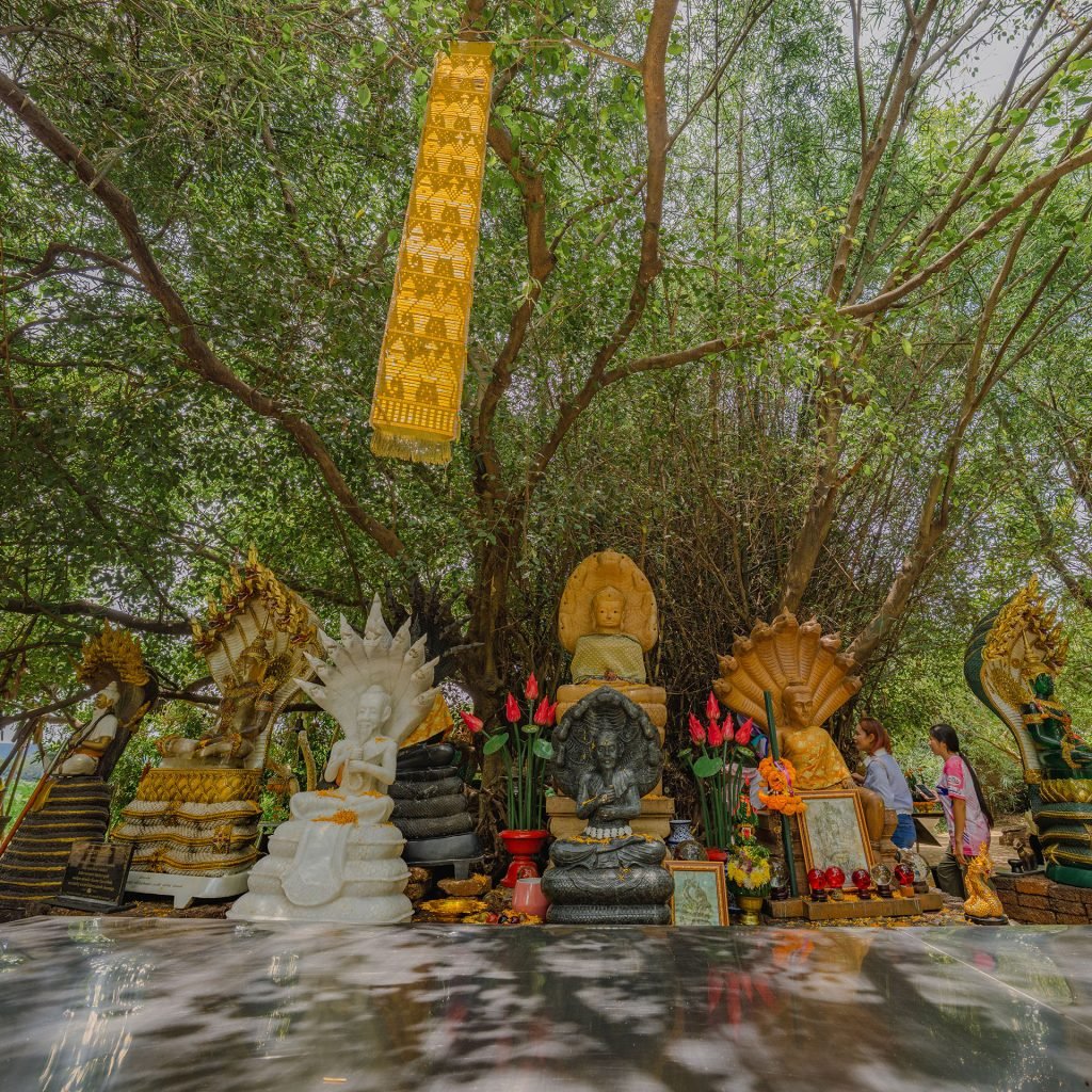บรรยากาศภายในเกาะดอนโพธิ์