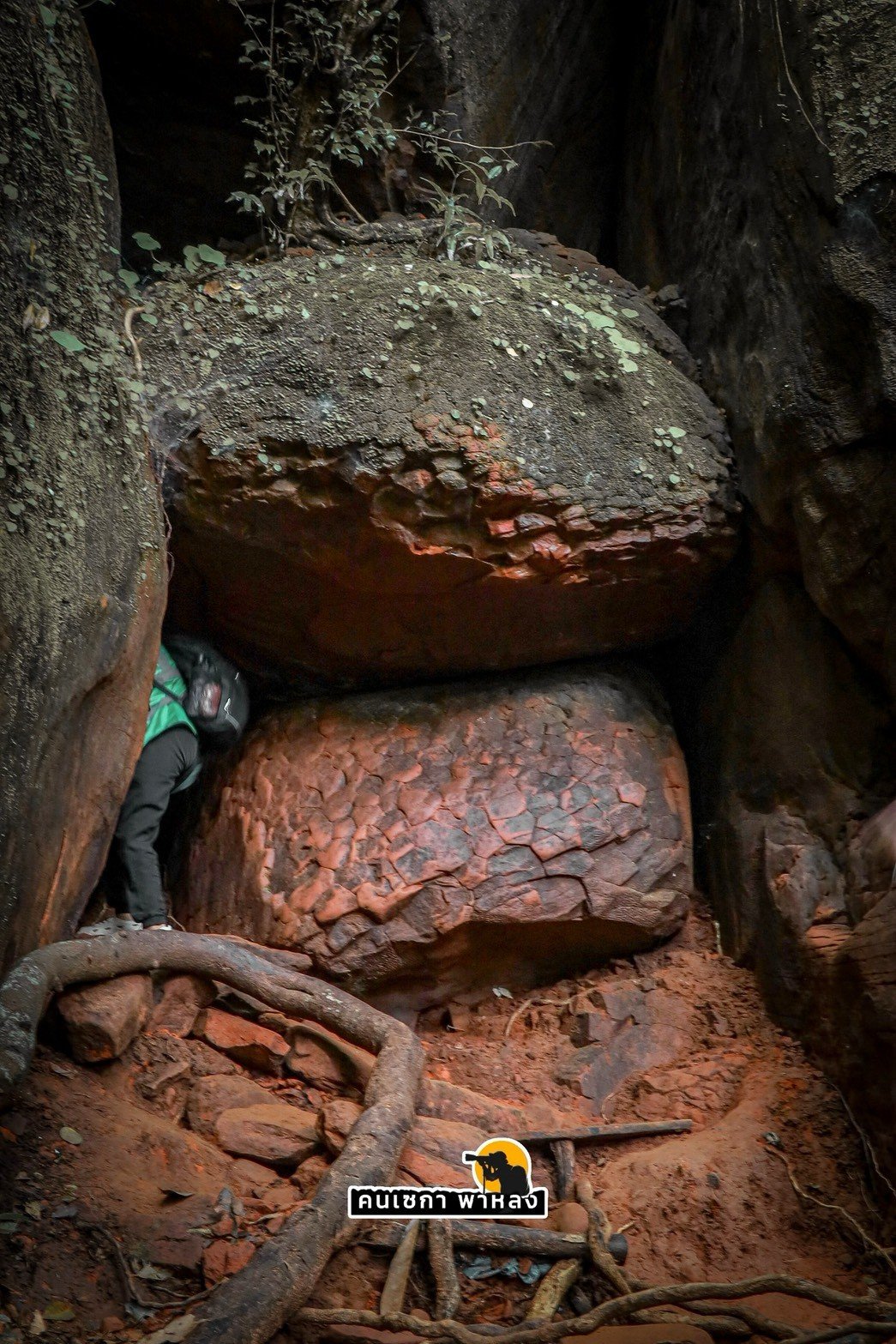 ลวดลายเกล็ดพญานาค